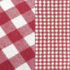 Red and white gingham dinner napkin.