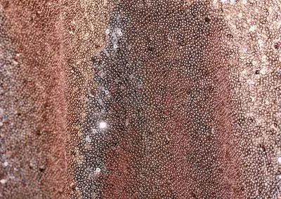 Glitzy blush pink sequin tablecloth and runner.