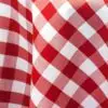 Red and white gingham tablecloth.