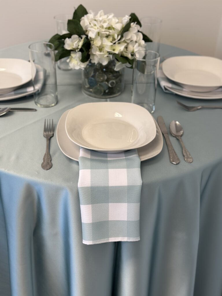 Moonstone Satin with Spa Check Napkins